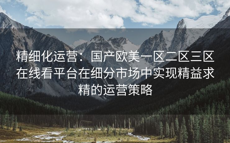 精细化运营：国产欧美一区二区三区在线看平台在细分市场中实现精益求精的运营策略
