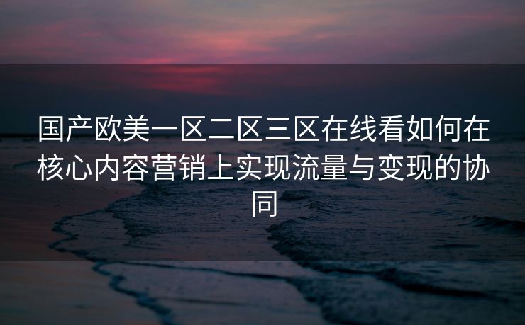 国产欧美一区二区三区在线看如何在核心内容营销上实现流量与变现的协同