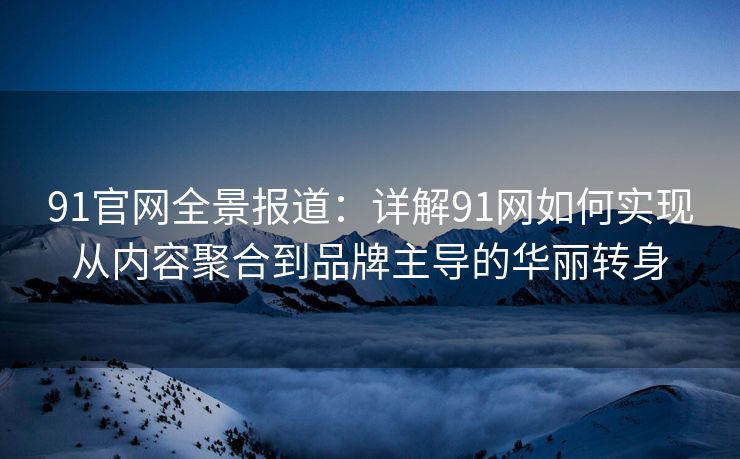 91官网全景报道：详解91网如何实现从内容聚合到品牌主导的华丽转身