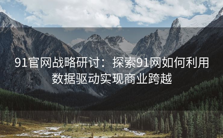 91官网战略研讨：探索91网如何利用数据驱动实现商业跨越