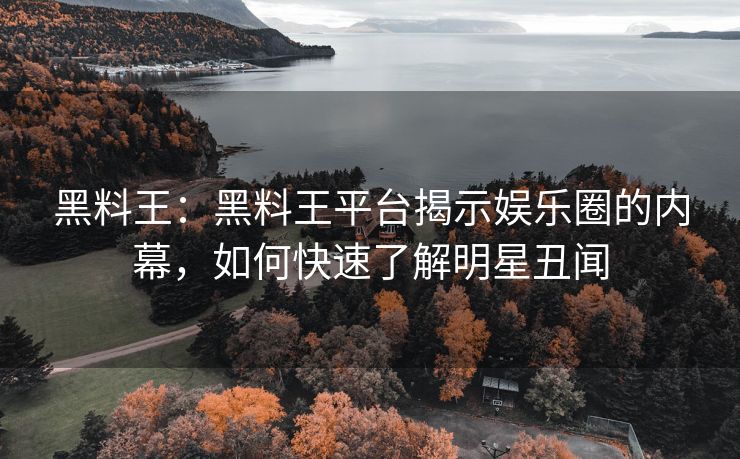 黑料王：黑料王平台揭示娱乐圈的内幕，如何快速了解明星丑闻