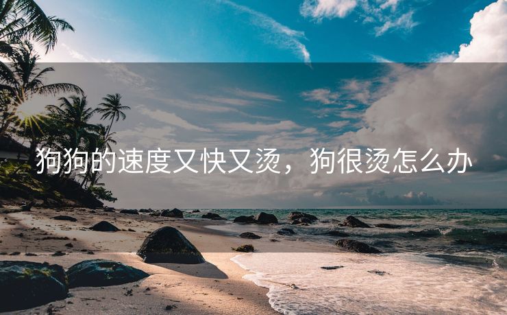 狗狗的速度又快又烫，狗很烫怎么办