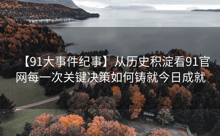 【91大事件纪事】从历史积淀看91官网每一次关键决策如何铸就今日成就