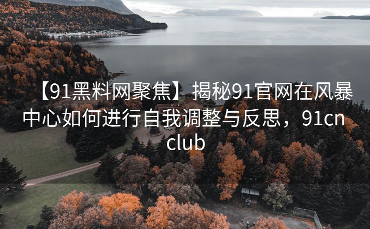 【91黑料网聚焦】揭秘91官网在风暴中心如何进行自我调整与反思，91cn club
