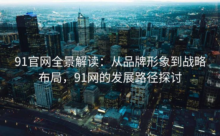91官网全景解读：从品牌形象到战略布局，91网的发展路径探讨
