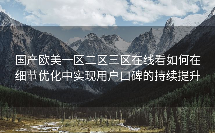 国产欧美一区二区三区在线看如何在细节优化中实现用户口碑的持续提升