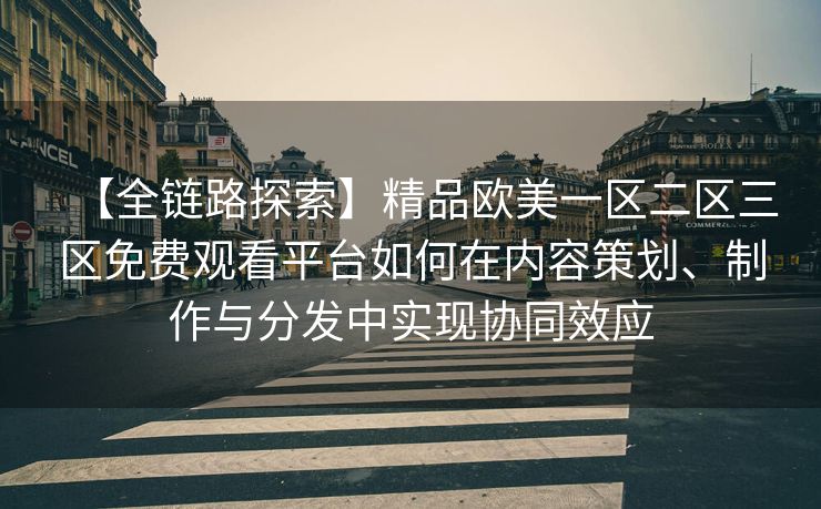 【全链路探索】精品欧美一区二区三区免费观看平台如何在内容策划、制作与分发中实现协同效应