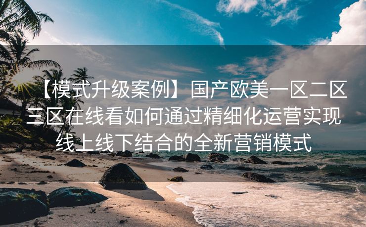 【模式升级案例】国产欧美一区二区三区在线看如何通过精细化运营实现线上线下结合的全新营销模式