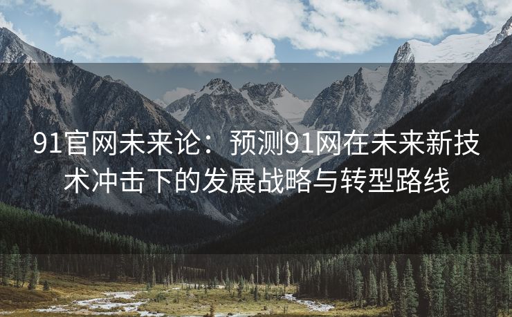 91官网未来论：预测91网在未来新技术冲击下的发展战略与转型路线