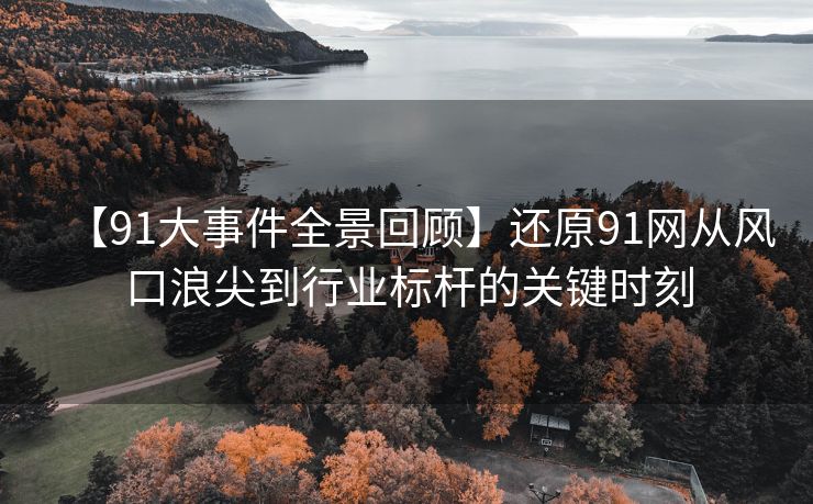 【91大事件全景回顾】还原91网从风口浪尖到行业标杆的关键时刻