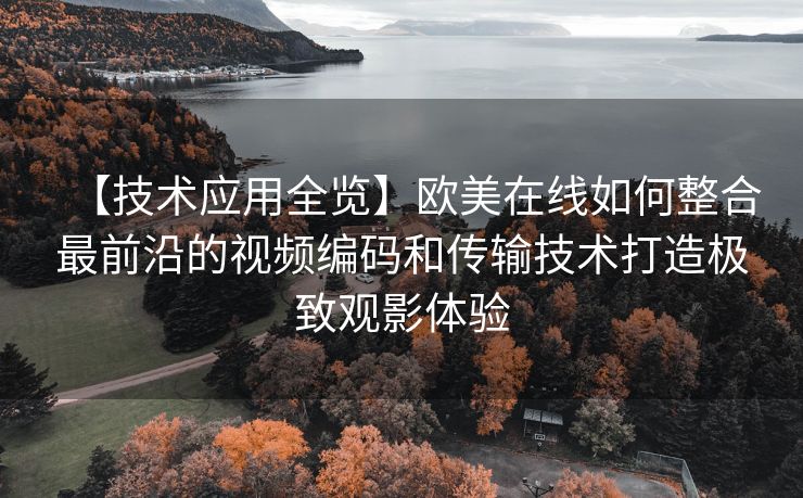 【技术应用全览】欧美在线如何整合最前沿的视频编码和传输技术打造极致观影体验