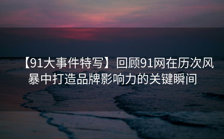 【91大事件特写】回顾91网在历次风暴中打造品牌影响力的关键瞬间