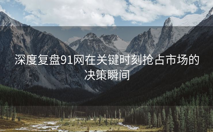 深度复盘91网在关键时刻抢占市场的决策瞬间