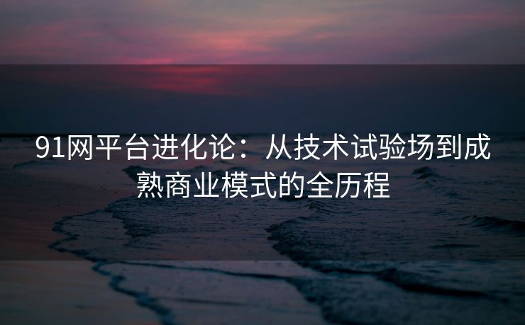 91网平台进化论：从技术试验场到成熟商业模式的全历程