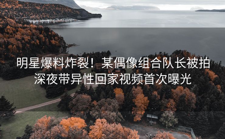 明星爆料炸裂！某偶像组合队长被拍深夜带异性回家视频首次曝光