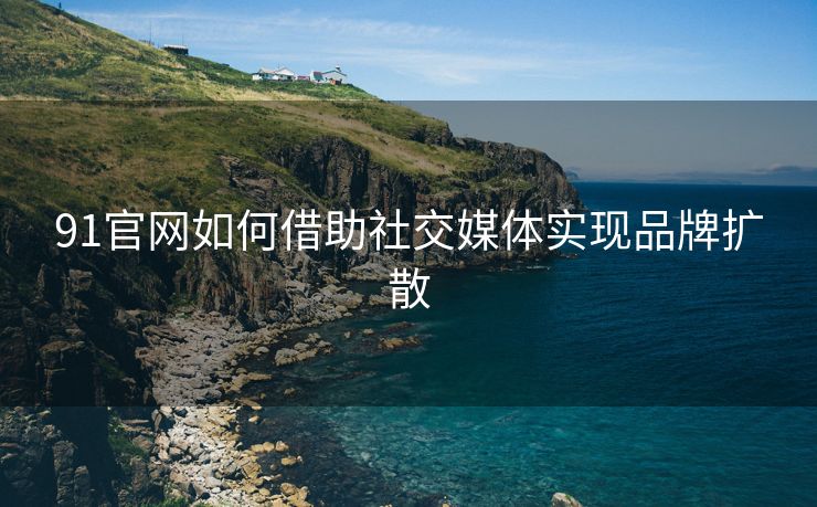 91官网如何借助社交媒体实现品牌扩散