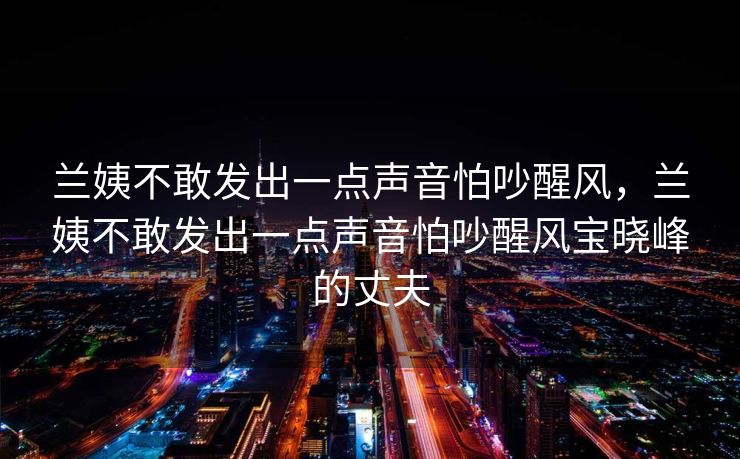 兰姨不敢发出一点声音怕吵醒风，兰姨不敢发出一点声音怕吵醒风宝晓峰的丈夫